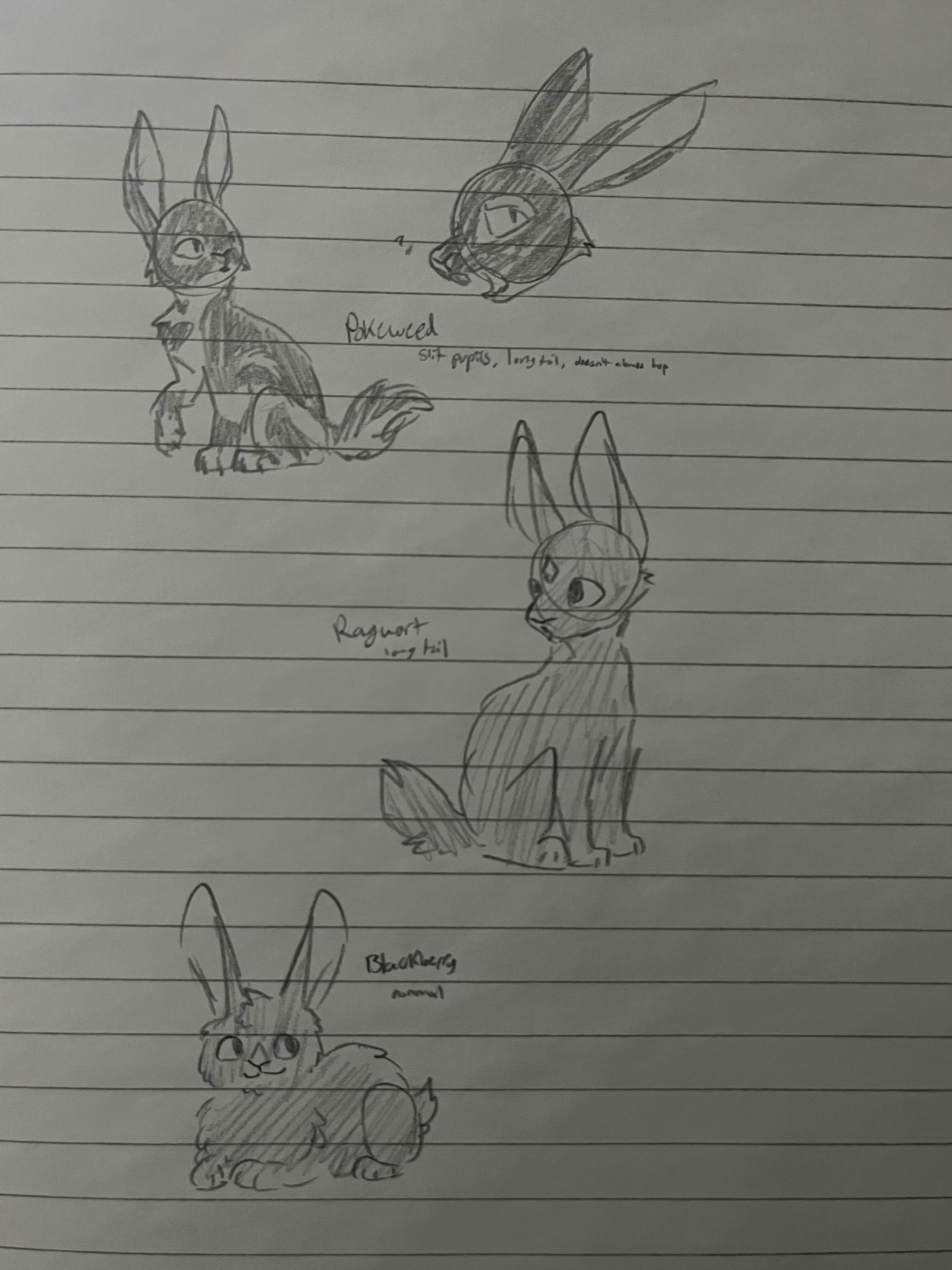 Pokeweed, Ragwort, Blackberry. Figuring out which of Gilli and Inky's kits got Inky's weirdness, 1/2